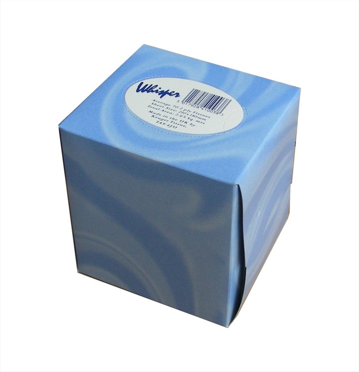 Professional Tissues, Cube, 2 Ply - White (24 packs)